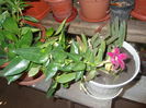 DSCF2009