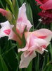 20140717_095755