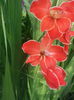 20140715_110101