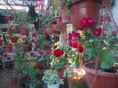 DSCF2024