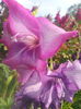 20140715_105646