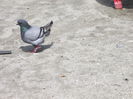 DSCF6981