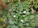 DSCN9937