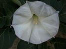 20140720_203951