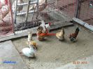 DSC00332
