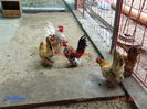 DSC00355