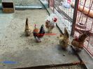 DSC00356