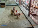 DSC00358
