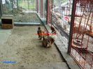 DSC00359