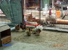 DSC00367