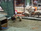 DSC00377