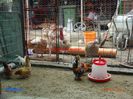 DSC00379