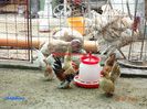 DSC00394