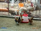DSC00401