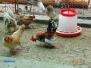 DSC00404