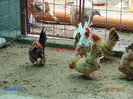 DSC00405