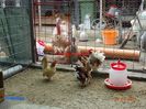 DSC00481