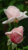 DSC03308