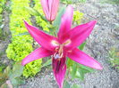DSC00334