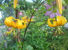 DSCN0762