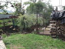 Picture 3070