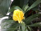 20140724_172009