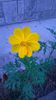 WP_20140719_19_17_29_Pro
