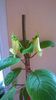 WP_20140724_11_03_04_Pro