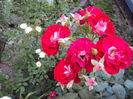 DSC00668