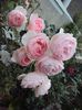 DSC00933