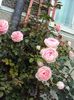 DSC00716