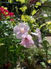 DSCN9956