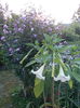 DSCN9965