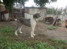 DSCN1179
