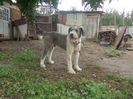 DSCN1181