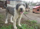 DSCN1183
