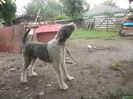 DSCN1184
