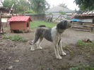 DSCN1185