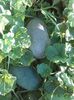 IMG_20140725_081959
