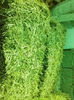 IMG_20140725_165647