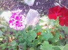 IMG_20140725_190723