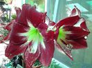 20140723_180630