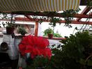 20140723_180940