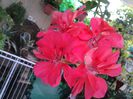 20140723_180923