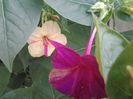 20140725_202850