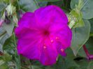 20140725_202904