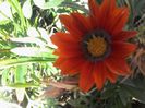 20140705_113303