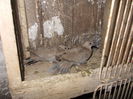 DSCN1310