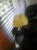 IMG-20140726-WA0010