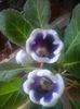 IMG-20140726-WA0012
